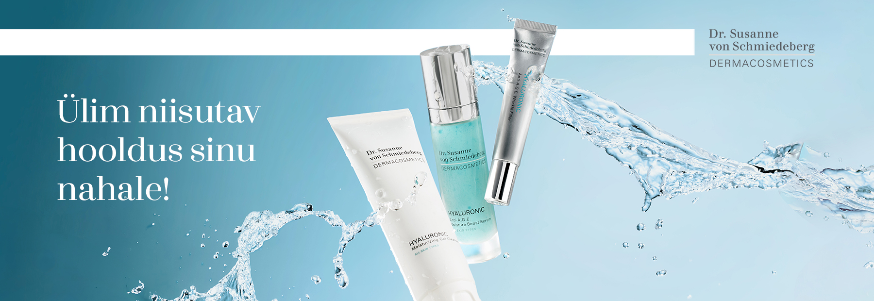 DR. SUSANNE VON SCHMIEDEBERG - Hyaluronic